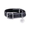 Indian Dog Collar L/XL